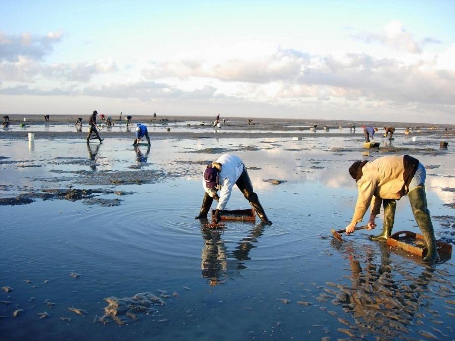 Le Gite De Martine En Baie De Somme Villa Lancheres Exteriör bild